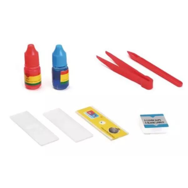 Kids’ Microscope Science Kit (Ages 3–12, 300x Zoom)